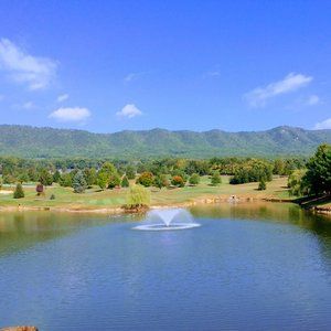 Meet your Posher, Bill